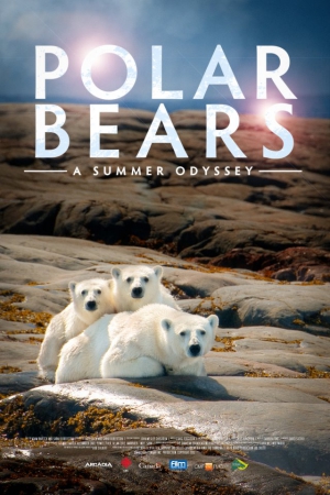   / Polar Bears: A Summer Odyssey VO