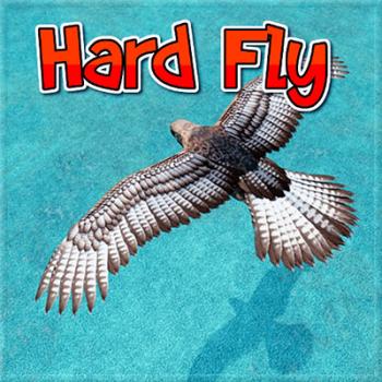 Hard Fly