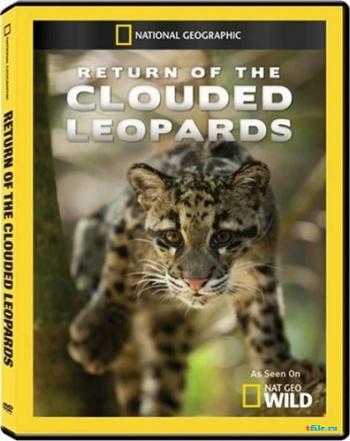    / National Geographic. Return of the Clouded Leopards VO