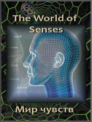   (4 ) / The World of Senses VO