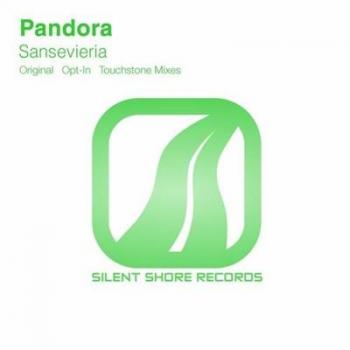 Pandora - Sansevieria