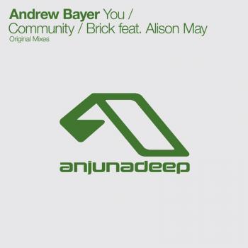 Andrew Bayer - You / Community / Brick