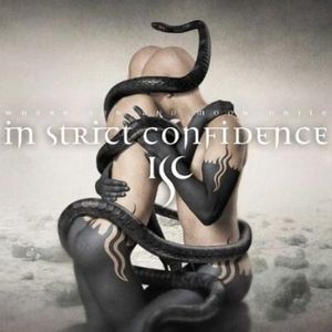 In Strict Confidence -  