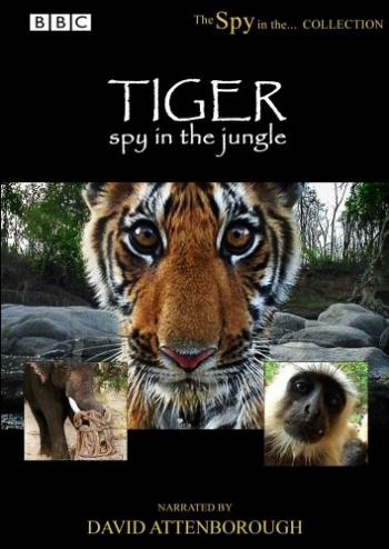 .   (3   3) / BBC. Tiger. Spy in the Jungle VO