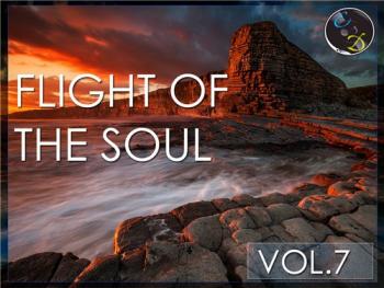 VA - Flight Of The Soul vol.7