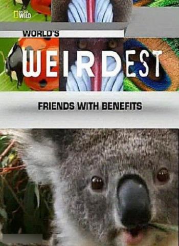 National Geographic.    :    / World's Weirdest: Friends With Benefits VO