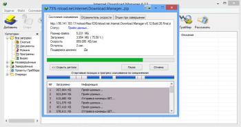 Internet Download Manager 6.09.3 + HelpRus