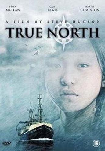   / True North