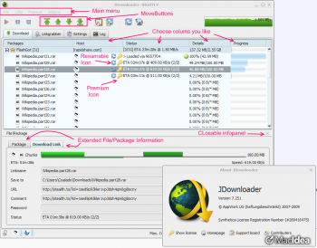 JDownloader 0.9.579 Portable