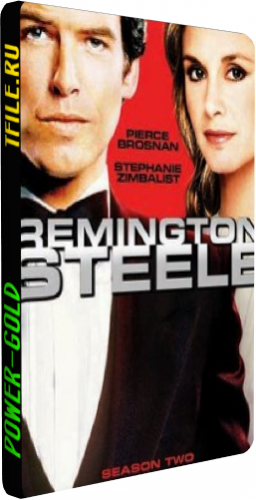  , 2  1-22   22 / Remington Steele []