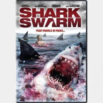   / Shark swarm