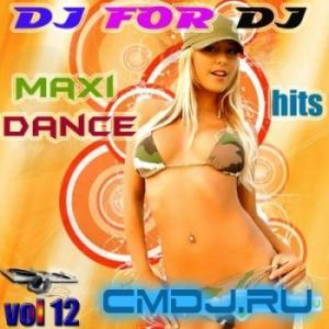 VA - Dj For Dj Maxi Dance Hits Vol.12 (2009)