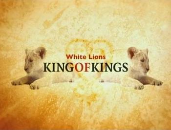  :   / White Lions, King of Kings