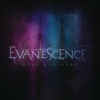 Evanescence - What You Want