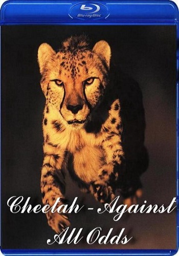  -   / Cheetah - Against All Odds DUB