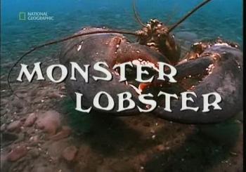 National Geographic: - / National Geographic: Monster Lobster VO