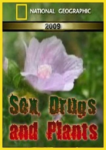   / National Geographic. Sex, Drugs and Plants MVO
