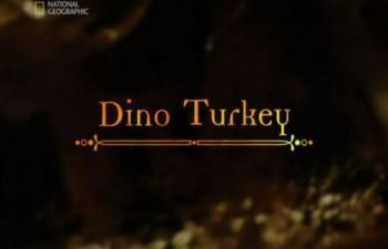  .  :     / National Geographic. Dino Turkey VO