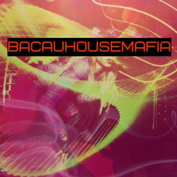 VA - BacauHouseMafia vol.10