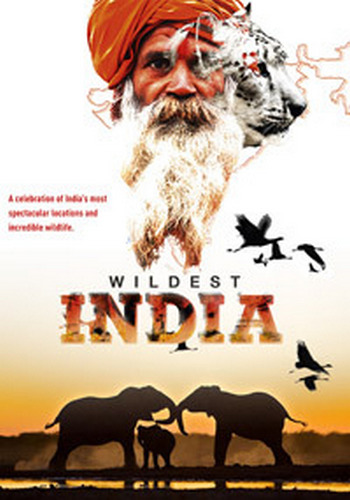    (5   5) / Wildest India DUB