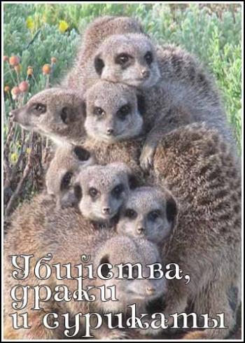 ,    / National Geographic. Murder, Mayhem Meerkats VO