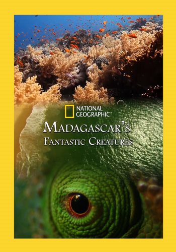    / NAT GEO WILD. Madagaskar's: Fantastic Creatures VO