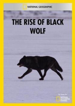    / The Rise of Black Wolf VO