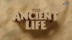    [6   6] / The Ancient Life