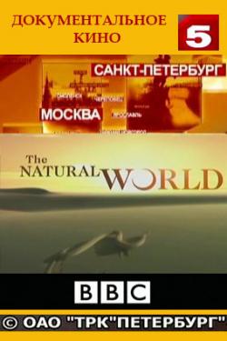 BBC:   / The Natural World (102 ) VO