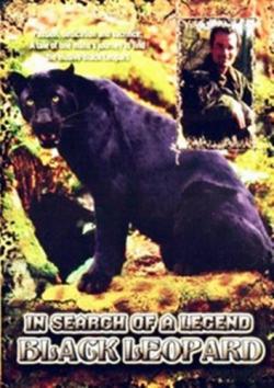   .   / In Search of Legend: The Black Leopard