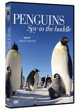BBC:  -    (1-3   3) / BBC: Penguins - Spy In The Huddle VO
