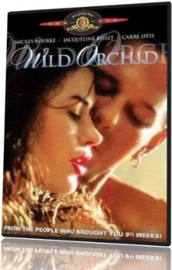   / Wild Orchid