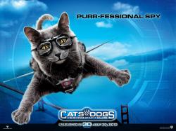 [PSP]   :    / Cats & Dogs: The Revenge of Kitty Galore (2010)