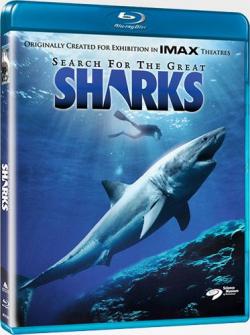 IMAX:     / Search for the Great Sharks DVO + ENG