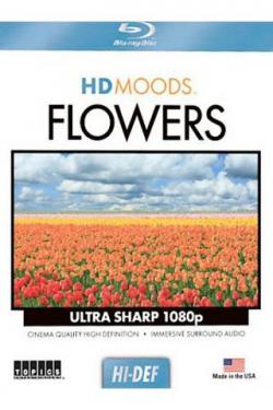  / HD Moods: Flowers