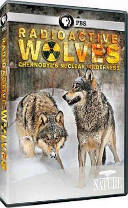    / Radioactive wolves VO