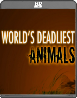   :  / World's Deadliest Animals: Amazon VO