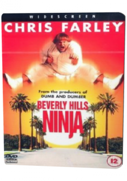     / Beverly Hills Ninja VO