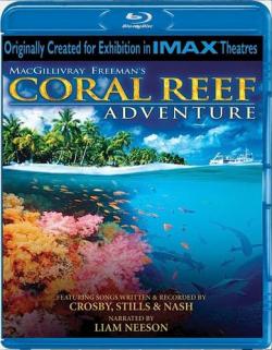     / Coral Reef Adventure SUB + ENG