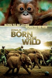 IMAX:    / IMAX: Born to Be Wild DVO