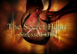  :   / The Secret Heart: Stessed Out