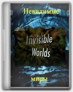 Discovery:   / Invisible Worlds (3 )