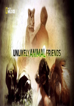   / Unlikely Animal Friends VO