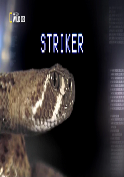   / Striker VO