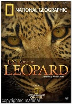   / Eye of the Leopard VO