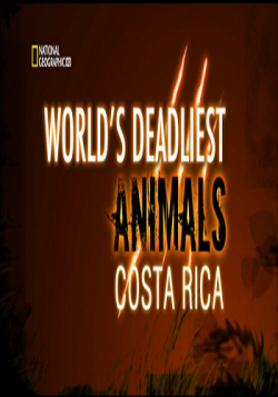   . - / World's Deadliest Animals: Costa Rica VO