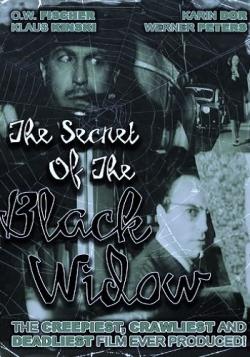    / Das Geheimnis der schwarzen Witwe VO