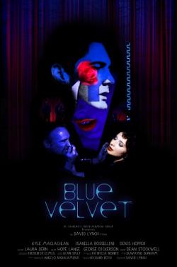   / Blue Velvet AVO + ENG
