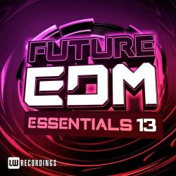 VA - Future EDM Essentials, Vol. 13