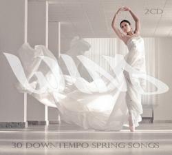 VA - Wind (30 Downtempo Spring Songs)